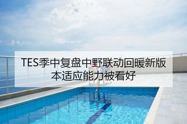 TES季中复盘中野联动回暖新版本适应能力被看好